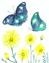 Acrylic image of wildflowers and butterflies on a white background. Royalty Free Stock Photo