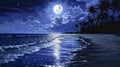 Moonlit Beach Serenade: Calm Reflections./n