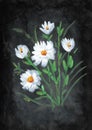 Acrylic painting of many white flowers on black dark background. illustration for condolence card.