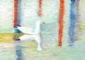 painting of a Seagull swimming