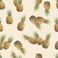 Pineapple isolated on a beige background. Watercolor acrylic colourful illustration. Tropical fruit drawn. Seamless pattern