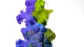 Acrylic paints are mixed in water. Purple, green and blue watercolor ink in water on a white background. Colored cloud of ink on a Royalty Free Stock Photo