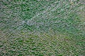 The act of malicious hooliganism. Broken glass wall of the new pavilion of the metro station. Abstract background. Royalty Free Stock Photo