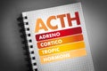 ACTH - Adrenocorticotropic hormone acronym