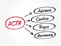 ACTH - Adrenocorticotropic hormone acronym