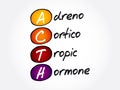 ACTH - Adrenocorticotropic hormone acronym, concept background
