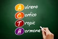 ACTH - Adrenocorticotropic hormone acronym, concept on blackboard