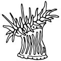 Hand drawn actinia doodle