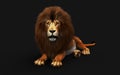 Action of Dangerous Lion with Clipping Path