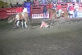 Action in a grand rodeo