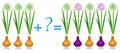 Action relationship of addition, examples with plant onion. Educational game for children.