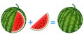 Action relationship of addition, examples with watermelon. Educational game for children.