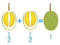 Action relationship of addition halves, examples with durian. Educational game for children.