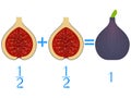 Action relationship of addition halves, examples with figs. Educational game for children.