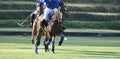 Horse speed in polo match