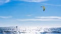 Action shot of a single kitesurfer at Woodman Point