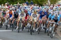 Action from the Tour Down Under as cyclists race along Rundle Street in Adelaide in South Australia. Royalty Free Stock Photo