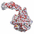 Activated coagulation factor VII (FVIIa), chemical structure. Plays role in blood clotting (coagulation). Recombinant protein used