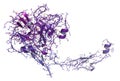 Activated coagulation factor VII (FVIIa), chemical structure. Plays role in blood clotting (coagulation). Recombinant protein used