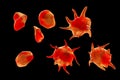 Activated and non-activated platelets, 3D illustration Royalty Free Stock Photo