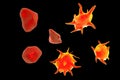 Activated and non-activated platelets, 3D illustration Royalty Free Stock Photo