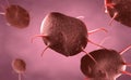Activated platelets, also called thrombocytes responsible for the healing and closure of wounds Royalty Free Stock Photo