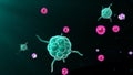 Activating T cells and B cells in immune system Royalty Free Stock Photo