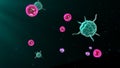 Activating T cells and B cells in immune system