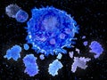 After activation by an  antigen presenting cell, a T helper cell segregates several cytokines Royalty Free Stock Photo