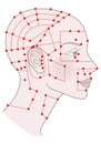 Active acupuncture points on the profile template Girl with shaved bald hairless head and a beautiful skull