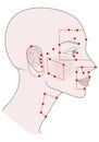 Active acupuncture points on the profile template Girl with shaved bald hairless head and a beautiful skull