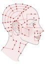 Active acupuncture points on the profile template Girl with shaved bald hairless head and a beautiful skull. Vector image
