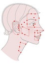 Active acupuncture points on the profile template Girl with a short haircut