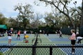 Active Adults Playing Pickleball Outdoors