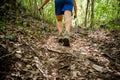 Active athlete climbs up the forest using special equipment for Nordic walking Royalty Free Stock Photo