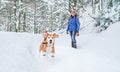 Active beagle dog running in deep snow. Its female owner lookking and smiling. Winter walks with pets concept image