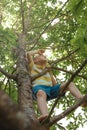 Active, brave toddler climbed high on tree and looks around. Happy childhood. Outdoor games for children in summer