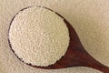 Active dry Baking yeast granules in wooden spoon