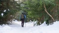 Active explorer woman, alone walking in extreme pathway in the woodland with snow. Royalty Free Stock Photo