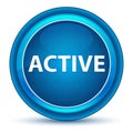 Active Eyeball Blue Round Button Royalty Free Stock Photo