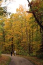 Two active seniors walking on a paved path through a forest in the fall at Petrifying Springs Park in Wisconsin