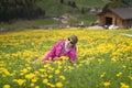 Active healthy woman having rest on beautiful meadow covered with flowers Royalty Free Stock Photo