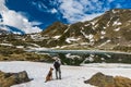 Active hiker on trial with dog in Pyrenees