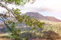 Active Indonesian volcano Batur on the tropical island of Bali. View of great volcano Batur. Beautiful landscape. Royalty Free Stock Photo