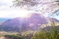 Active Indonesian volcano Batur on the tropical island of Bali. View of great volcano Batur. Beautiful landscape. Royalty Free Stock Photo