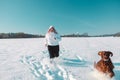 Active Irish Setter dog with woman running slow motion footage during the snowy walking, having fun in winter park. High Royalty Free Stock Photo