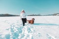 Active Irish Setter dog with woman running slow motion footage during the snowy walking, having fun in winter park. High Royalty Free Stock Photo