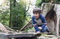 Active kid play balance on wooden beam in park, Little boy climbing on a wooden playground, Happy Child having fun playing outdoor Royalty Free Stock Photo