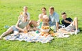 Active large family having picnic on green lawn in park Royalty Free Stock Photo