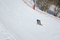 Active leisure and winter entertainment. Skiers and snowboarders